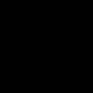 Meet your Posher, Armando